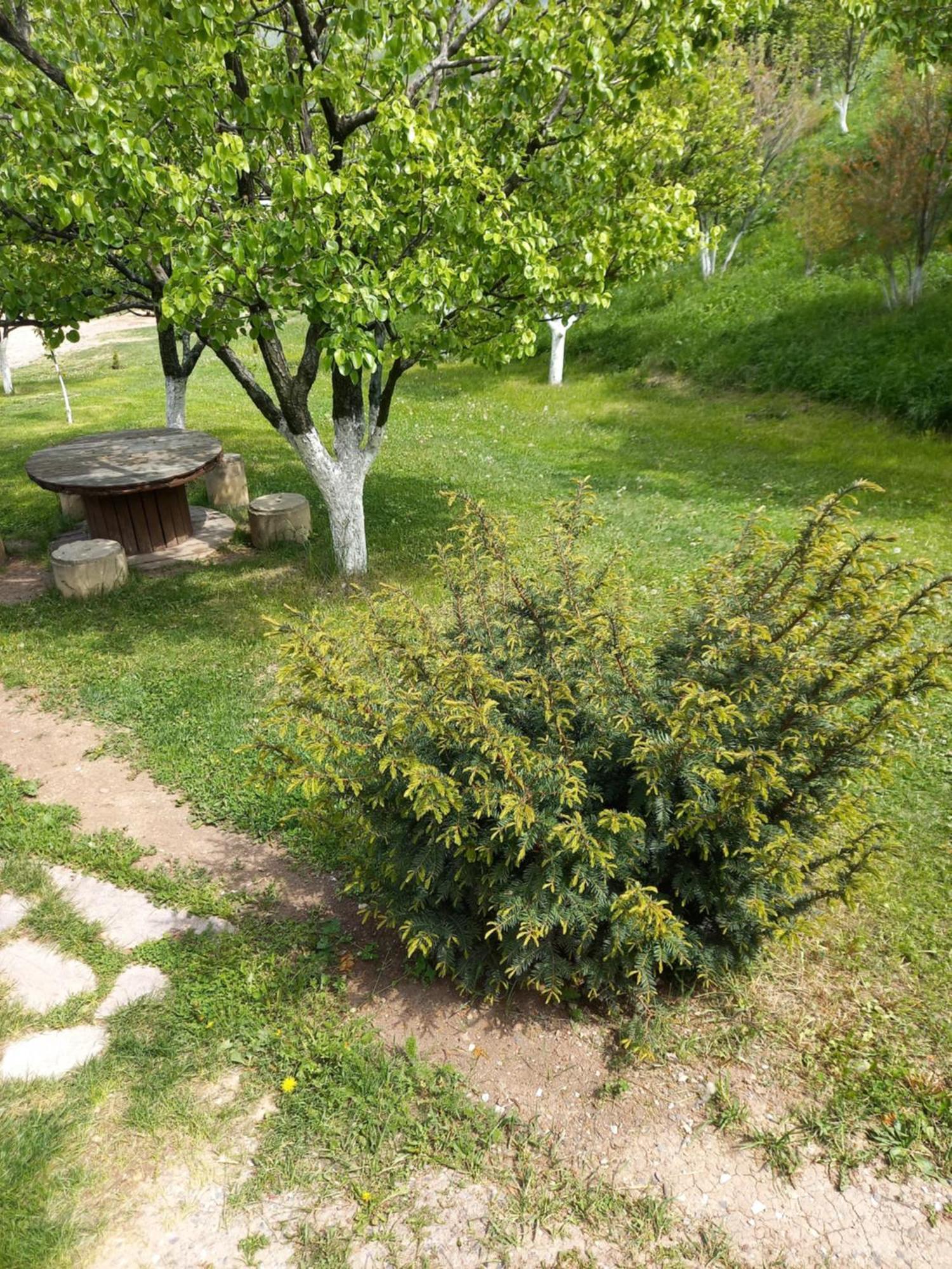 Guest House Ijevan'S Garden Экстерьер фото